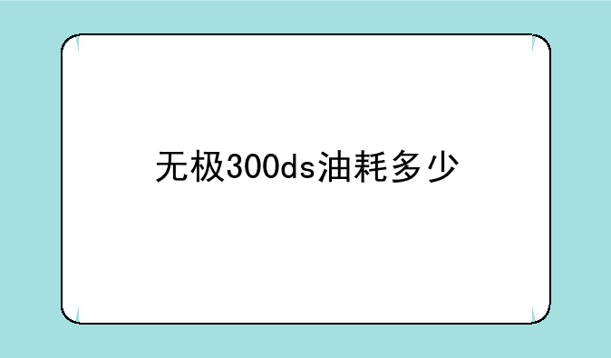无极300ds油耗多少