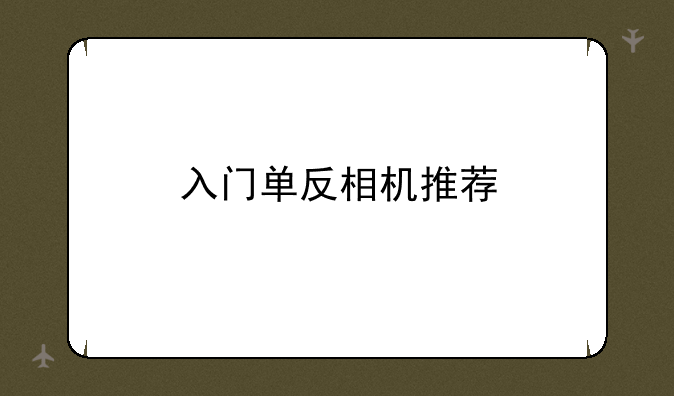 入门单反相机推荐