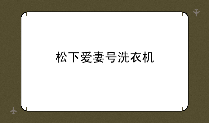 松下爱妻号洗衣机