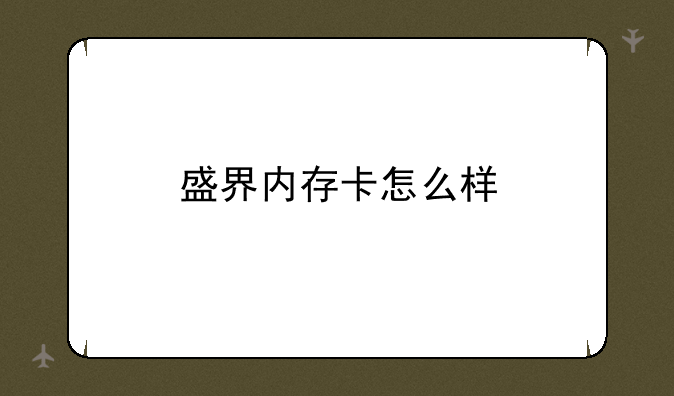 盛界内存卡怎么样
