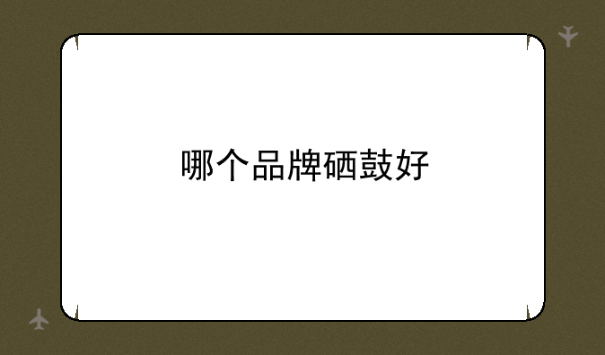 哪个品牌硒鼓好