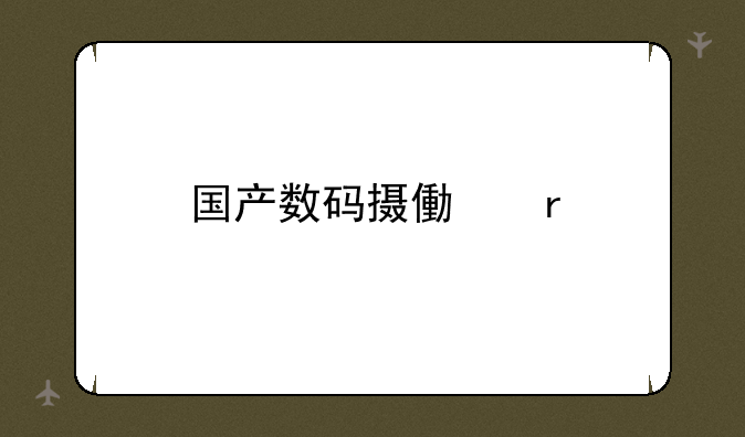 国产数码摄像机