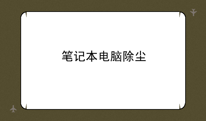 笔记本电脑除尘