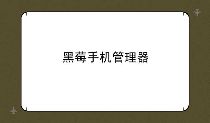 黑莓手机管理器