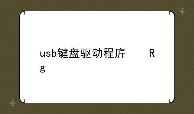 usb键盘驱动程序错误