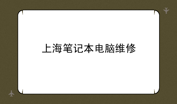 上海笔记本电脑维修