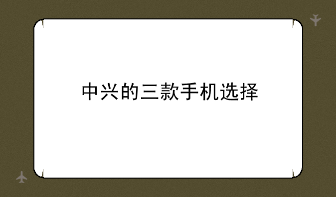 中兴的三款手机选择