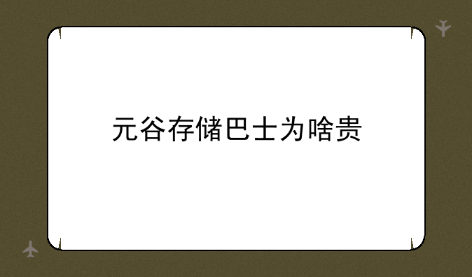 元谷存储巴士为啥贵