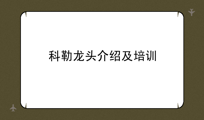 科勒龙头介绍及培训