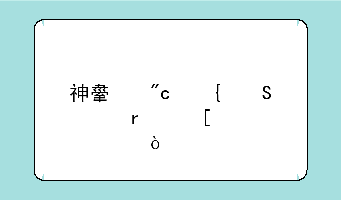 神舟战神笔记本外观尺寸？