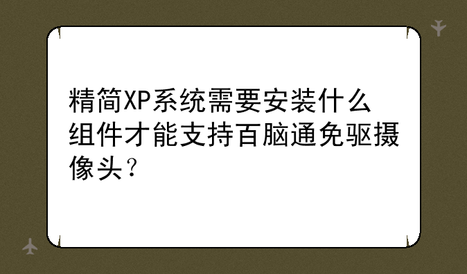 精简XP系统需要安装什么组件才能支持百脑通免驱摄像头？