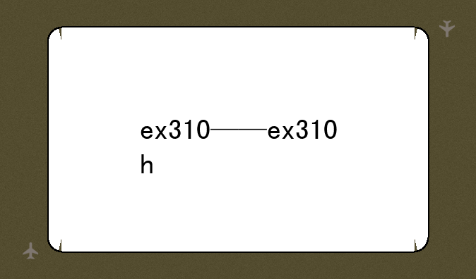 ex310——ex310h