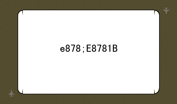 e878;E8781B