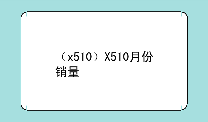 （x510）X510月份销量
