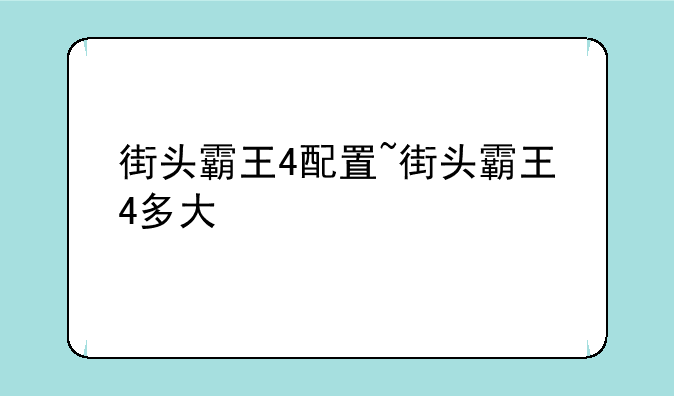 街头霸王4配置~街头霸王4多大
