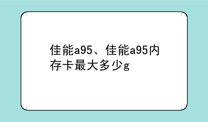 佳能a95、佳能a95内存卡最大多少g