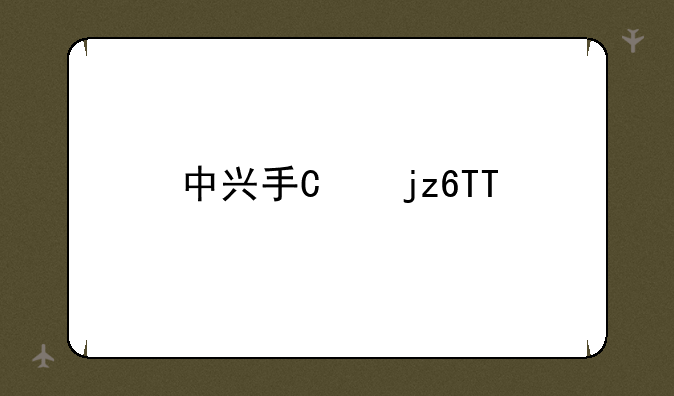 中兴手机v880