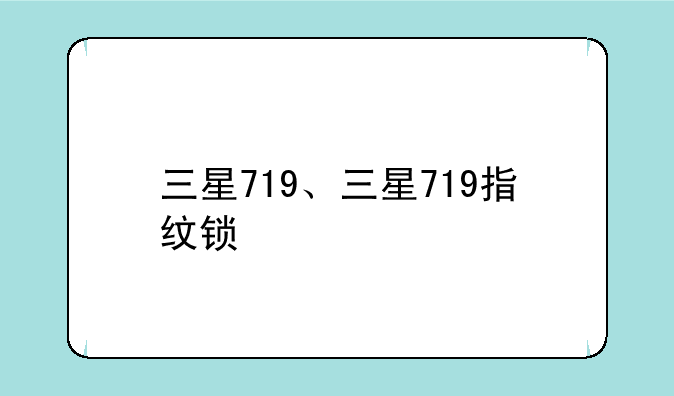 三星719、三星719指纹锁
