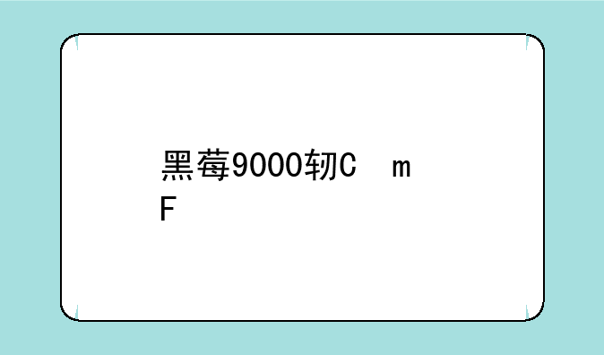 黑莓9000软件~黑莓9900软件安装
