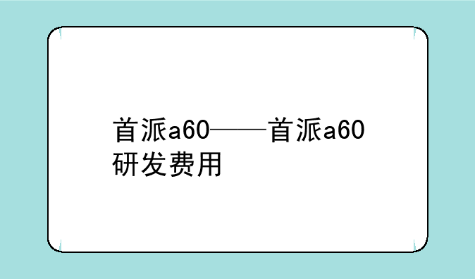 首派a60——首派a60研发费用