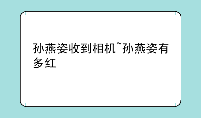 孙燕姿收到相机~孙燕姿有多红