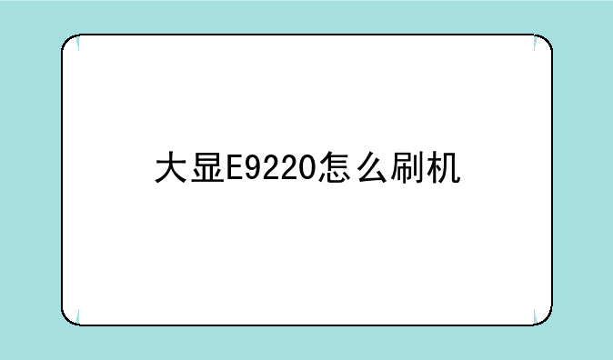 大显E9220怎么刷机