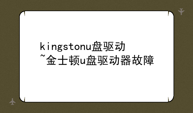 kingstonu盘驱动~金士顿u盘驱动器故障